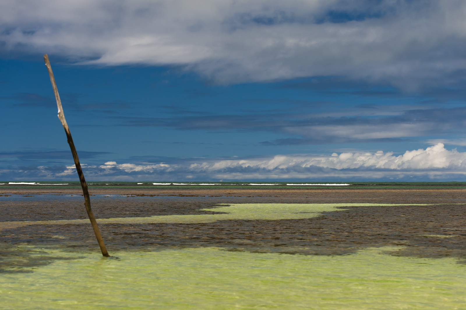Ilha de Boipeba · Bahia, fotografia de Rocio